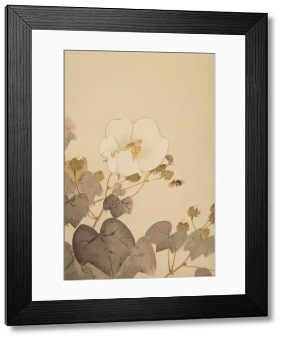 Framed Print : The Twelve Months: Eighth Month, between 1900 and 1918. Creator: Watanabe Seitei Framed Print : The Twelve Months: Eighth Month, between 1900 and 1918. Creator: Watanabe Seitei