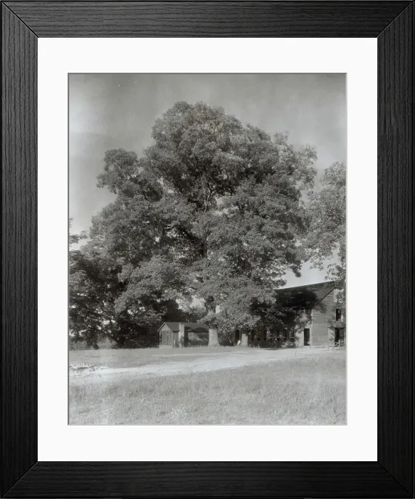 Framed Print : Midlothian Pike Minor Houses, Midlothian Pike, Chesterfield County, Virginia, 1933. Creator: Frances Benjamin Johnston Framed Print : Midlothian Pike Minor Houses, Midlothian Pike, Chesterfield County, Virginia, 1933. Creator: Frances Benjamin Johnston
