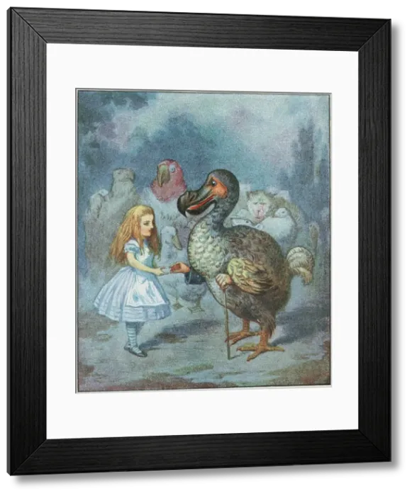 Framed Print : The Dodo solemnly presented the thimble.. 1911. Creator: Tenniel, Sir John (1820-1914) Framed Print : The Dodo solemnly presented the thimble.. 1911. Creator: Tenniel, Sir John (1820-1914)
