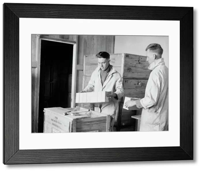 Framed Print : Army, U.S. Army Medical School; Typhoid Vaccine, 1917. Creator: Harris & Ewing. Army, U.S. Army Medical School; Typhoid Vaccine, 1917. Creator: Harris & Ewing Framed Print : Army, U.S. Army Medical School; Typhoid Vaccine, 1917. Creator: Harris & Ewing. Army, U.S. Army Medical School; Typhoid Vaccine, 1917. Creator: Harris & Ewing