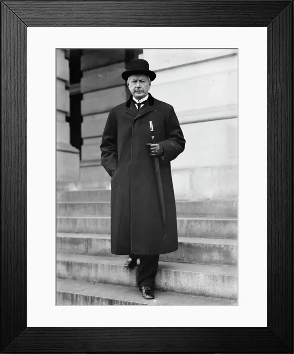 Framed Print : Albert Sidney Burleson, Rep. from Texas, 1913. Creator: Harris & Ewing. Albert Sidney Burleson, Rep. from Texas, 1913. Creator: Harris & Ewing