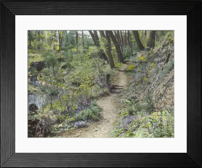 Framed Print : Unidentified garden or park, c1920. Creator: Frances Benjamin Johnston Framed Print : Unidentified garden or park, c1920. Creator: Frances Benjamin Johnston