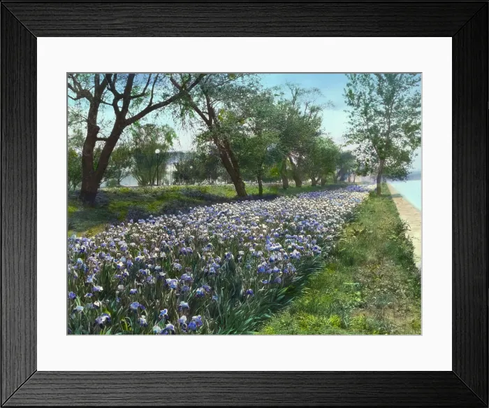 Framed Print : West Potomac Park, Washington, D.C. 1921. Creator: Frances Benjamin Johnston