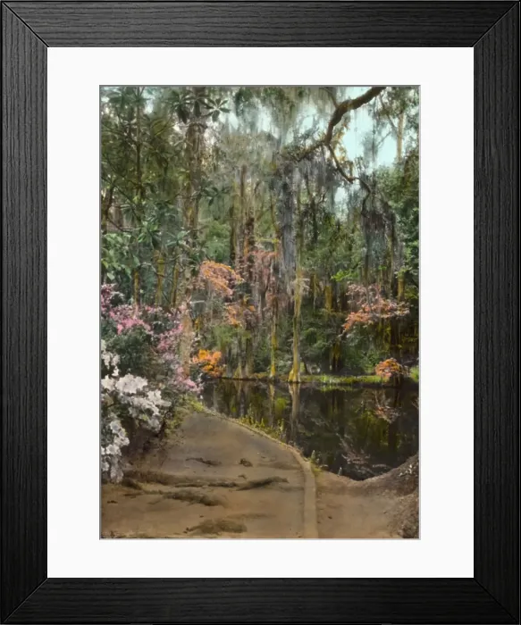 Framed Print : Magnolia Plantation, 3550 Ashley River Road, Charleston, South Carolina, 1928. Creator: Frances Benjamin Johnston. Magnolia Plantation, 3550 Ashley River Road, Charleston, South Carolina, 1928. Creator: Frances Benjamin Johnston Framed Print : Magnolia Plantation, 3550 Ashley River Road, Charleston, South Carolina, 1928. Creator: Frances Benjamin Johnston. Magnolia Plantation, 3550 Ashley River Road, Charleston, South Carolina, 1928. Creator: Frances Benjamin Johnston