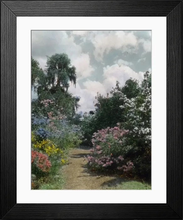 Framed Print : Magnolia Plantation, 3550 Ashley River Road, Charleston, South Carolina, 1928. Creator: Frances Benjamin Johnston. Magnolia Plantation, 3550 Ashley River Road, Charleston, South Carolina, 1928. Creator: Frances Benjamin Johnston Framed Print : Magnolia Plantation, 3550 Ashley River Road, Charleston, South Carolina, 1928. Creator: Frances Benjamin Johnston. Magnolia Plantation, 3550 Ashley River Road, Charleston, South Carolina, 1928. Creator: Frances Benjamin Johnston