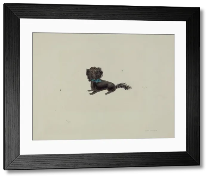 Framed Print : Plush Toy Dog, c. 1938. Creator: John Winters Framed Print : Plush Toy Dog, c. 1938. Creator: John Winters