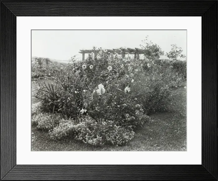 Framed Print : Gray Gardens, Robert Carmer Hill house, Lily Pond Lane, East Hampton, New York, 1914. Creator: Frances Benjamin Johnston. Gray Gardens, Robert Carmer Hill house, Lily Pond Lane, East Hampton, New York, 1914 Framed Print : Gray Gardens, Robert Carmer Hill house, Lily Pond Lane, East Hampton, New York, 1914. Creator: Frances Benjamin Johnston. Gray Gardens, Robert Carmer Hill house, Lily Pond Lane, East Hampton, New York, 1914
