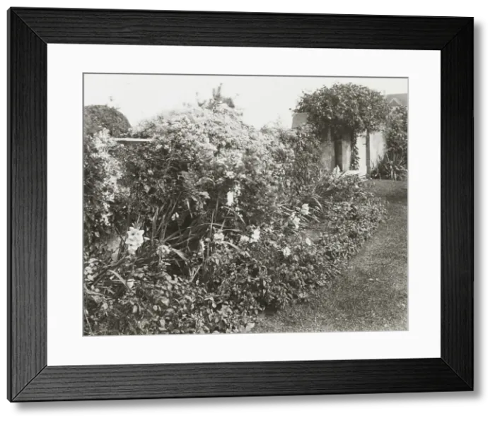 Framed Print : Gray Gardens, Robert Carmer Hill house, Lily Pond Lane, East Hampton, New York, c1916. Creator: Frances Benjamin Johnston. Gray Gardens, Robert Carmer Hill house, Lily Pond Lane, East Hampton, New York, c1916 Framed Print : Gray Gardens, Robert Carmer Hill house, Lily Pond Lane, East Hampton, New York, c1916. Creator: Frances Benjamin Johnston. Gray Gardens, Robert Carmer Hill house, Lily Pond Lane, East Hampton, New York, c1916
