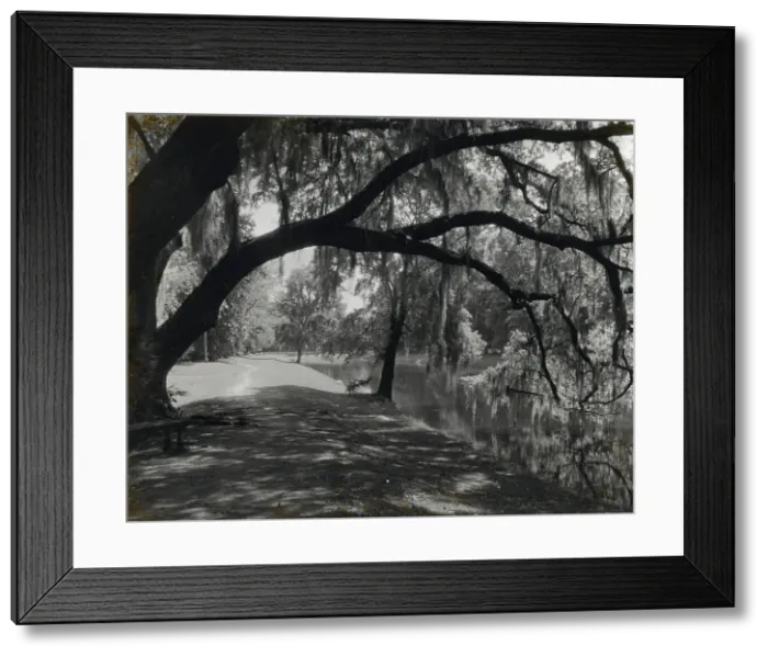 Framed Print : Middleton Place, John Julius Pringle Smith house, 4300 Ashley River Road, Charleston, 1928. Creator: Frances Benjamin Johnston. Middleton Place, John Julius Pringle Smith house, 4300 Ashley River Road, Charleston, 1928 Framed Print : Middleton Place, John Julius Pringle Smith house, 4300 Ashley River Road, Charleston, 1928. Creator: Frances Benjamin Johnston. Middleton Place, John Julius Pringle Smith house, 4300 Ashley River Road, Charleston, 1928