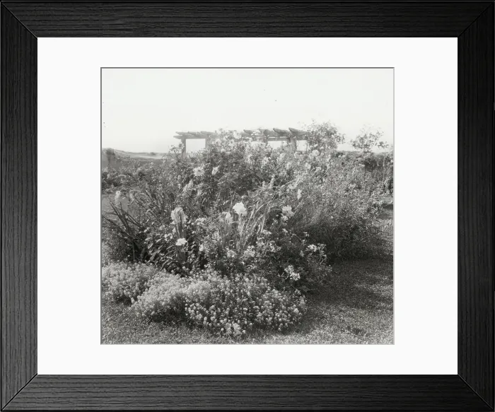 Framed Print : Gray Gardens, Robert Carmer Hill house, Lily Pond Lane, East Hampton, New York, c1914. Creator: Frances Benjamin Johnston. Gray Gardens, Robert Carmer Hill house, Lily Pond Lane, East Hampton, New York, c1914 Framed Print : Gray Gardens, Robert Carmer Hill house, Lily Pond Lane, East Hampton, New York, c1914. Creator: Frances Benjamin Johnston. Gray Gardens, Robert Carmer Hill house, Lily Pond Lane, East Hampton, New York, c1914