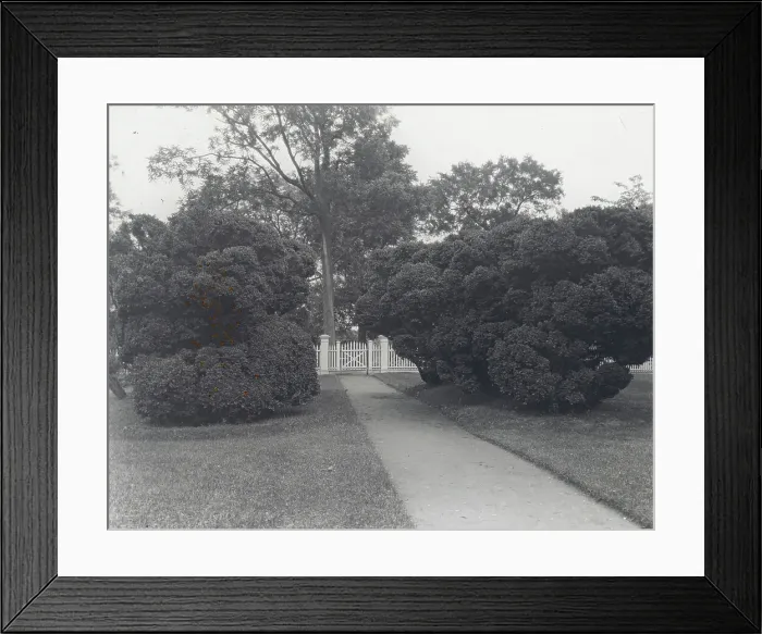Framed Print : Sylvester Manor, Cornelia Horsford house, Shelter Island, New York, c1915. Creator: Frances Benjamin Johnston. Sylvester Manor, Cornelia Horsford house, Shelter Island, New York, c1915. Creator: Frances Benjamin Johnston Framed Print : Sylvester Manor, Cornelia Horsford house, Shelter Island, New York, c1915. Creator: Frances Benjamin Johnston. Sylvester Manor, Cornelia Horsford house, Shelter Island, New York, c1915. Creator: Frances Benjamin Johnston
