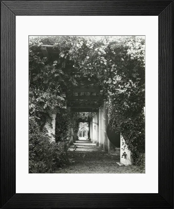 Framed Print : The Orchard, James Lawrence Breese house, 151 Hill Street, Southampton, New York, 1912. Creator: Frances Benjamin Johnston. The Orchard, James Lawrence Breese house, 151 Hill Street, Southampton, New York, 1912 Framed Print : The Orchard, James Lawrence Breese house, 151 Hill Street, Southampton, New York, 1912. Creator: Frances Benjamin Johnston. The Orchard, James Lawrence Breese house, 151 Hill Street, Southampton, New York, 1912