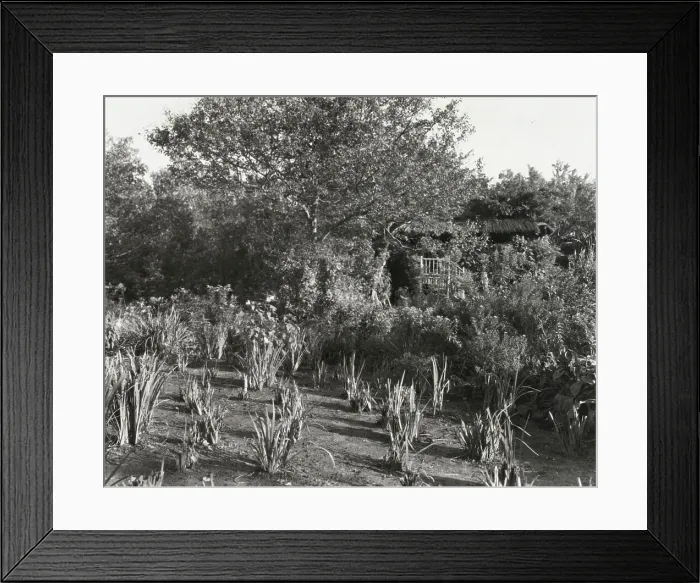 Framed Print : Grey-Croft, Stephen Swete Cummins house, Huntting Lane, East Hampton, New York, 1913. Creator: Frances Benjamin Johnston. Grey-Croft, Stephen Swete Cummins house, Huntting Lane, East Hampton, New York, 1913 Framed Print : Grey-Croft, Stephen Swete Cummins house, Huntting Lane, East Hampton, New York, 1913. Creator: Frances Benjamin Johnston. Grey-Croft, Stephen Swete Cummins house, Huntting Lane, East Hampton, New York, 1913