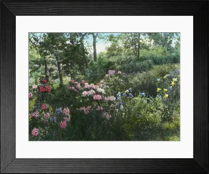 Framed Print : Dr. Charles William Richardson house, Chevy Chase, Washington, D.C. 1926. Creator: Frances Benjamin Johnston Framed Print : Dr. Charles William Richardson house, Chevy Chase, Washington, D.C. 1926. Creator: Frances Benjamin Johnston