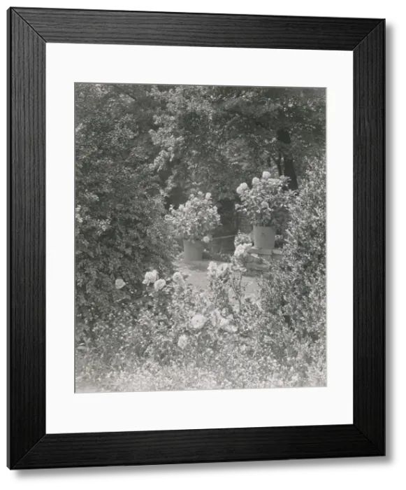 Framed Print : Stonehurst, Charles William Henry house, Cherokee Street, Chestnut Hill, Pennsylvania, 1919. Creator: Frances Benjamin Johnston. Stonehurst, Charles William Henry house, Cherokee Street, Chestnut Hill, Pennsylvania, 1919 Framed Print : Stonehurst, Charles William Henry house, Cherokee Street, Chestnut Hill, Pennsylvania, 1919. Creator: Frances Benjamin Johnston. Stonehurst, Charles William Henry house, Cherokee Street, Chestnut Hill, Pennsylvania, 1919