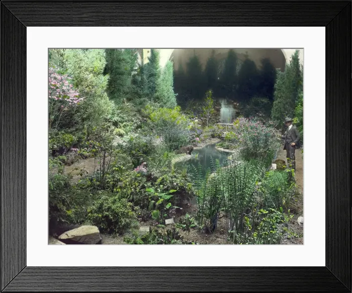 Framed Print : Boston Horticultural Society Exhibition, Horticultural Hall, Massachusetts Avenue, Mass. 1921. Creator: Frances Benjamin Johnston Framed Print : Boston Horticultural Society Exhibition, Horticultural Hall, Massachusetts Avenue, Mass. 1921. Creator: Frances Benjamin Johnston