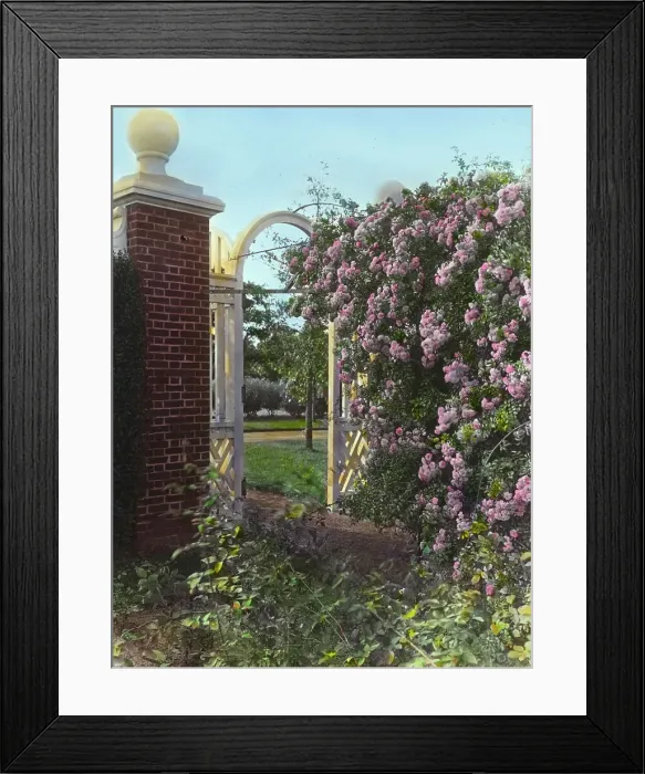 Framed Print : Armsea Hall, Charles Frederick Hoffman Jr. house, Narragansett Bay, Newport, Rhode Island, 1914. Creator: Frances Benjamin Johnston. Armsea Hall, Charles Frederick Hoffman Jr. house, Narragansett Bay, Newport, Rhode Island, 1914 Framed Print : Armsea Hall, Charles Frederick Hoffman Jr. house, Narragansett Bay, Newport, Rhode Island, 1914. Creator: Frances Benjamin Johnston. Armsea Hall, Charles Frederick Hoffman Jr. house, Narragansett Bay, Newport, Rhode Island, 1914