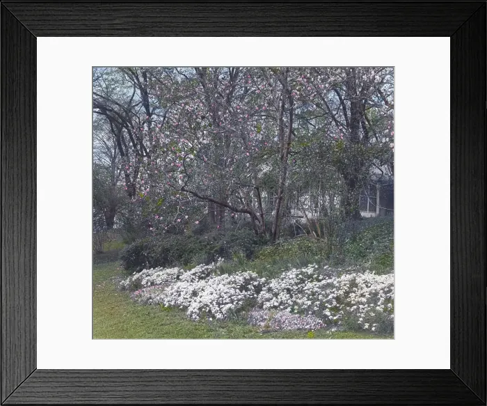 Framed Print : Lyndhurst, Finley Johnson Shepard house, 635 South Broadway, Tarrytown, New York. c1914. Creator: Frances Benjamin Johnston. Lyndhurst, Finley Johnson Shepard house, 635 South Broadway, Tarrytown, New York. c1914 Framed Print : Lyndhurst, Finley Johnson Shepard house, 635 South Broadway, Tarrytown, New York. c1914. Creator: Frances Benjamin Johnston. Lyndhurst, Finley Johnson Shepard house, 635 South Broadway, Tarrytown, New York. c1914