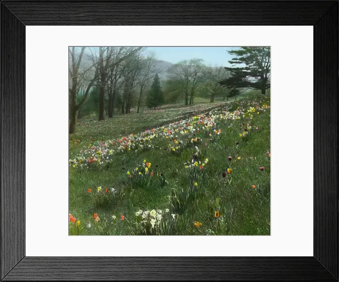 Framed Print : Cragston, John Pierpont Morgan house, Highland Falls, New York. c1913. Creator: Frances Benjamin Johnston. Cragston, John Pierpont Morgan house, Highland Falls, New York. c1913. Creator: Frances Benjamin Johnston Framed Print : Cragston, John Pierpont Morgan house, Highland Falls, New York. c1913. Creator: Frances Benjamin Johnston. Cragston, John Pierpont Morgan house, Highland Falls, New York. c1913. Creator: Frances Benjamin Johnston