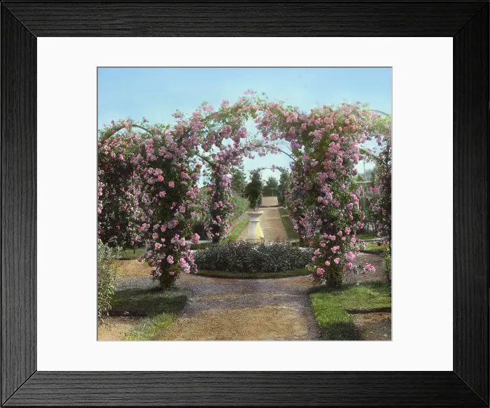 Framed Print : Armsea Hall, Charles Frederick Hoffman Jr. house, Narragansett Bay, Newport, Rhode Island, 1914. Creator: Frances Benjamin Johnston. Armsea Hall, Charles Frederick Hoffman Jr. house, Narragansett Bay, Newport, Rhode Island, 1914 Framed Print : Armsea Hall, Charles Frederick Hoffman Jr. house, Narragansett Bay, Newport, Rhode Island, 1914. Creator: Frances Benjamin Johnston. Armsea Hall, Charles Frederick Hoffman Jr. house, Narragansett Bay, Newport, Rhode Island, 1914