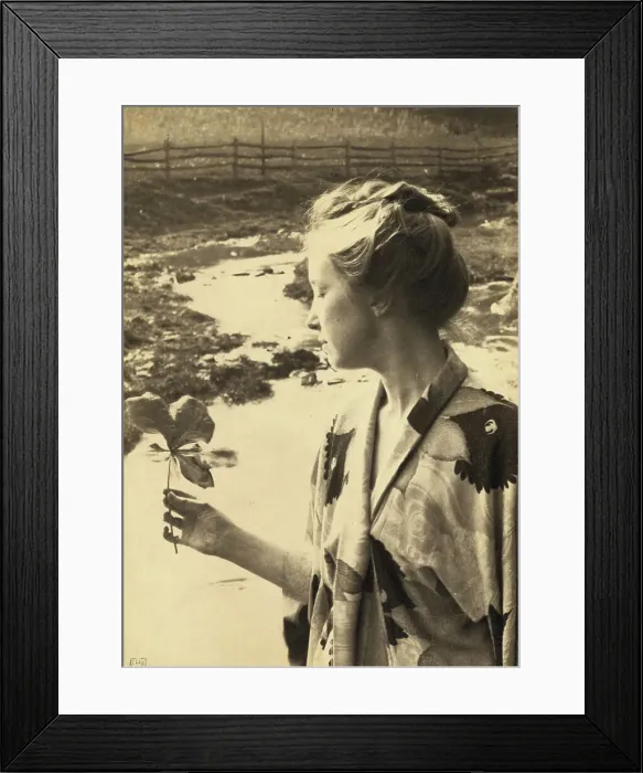 Framed Print : The may apple leaf, c1900. Creator: Eva Watson-Schutze Framed Print : The may apple leaf, c1900. Creator: Eva Watson-Schutze