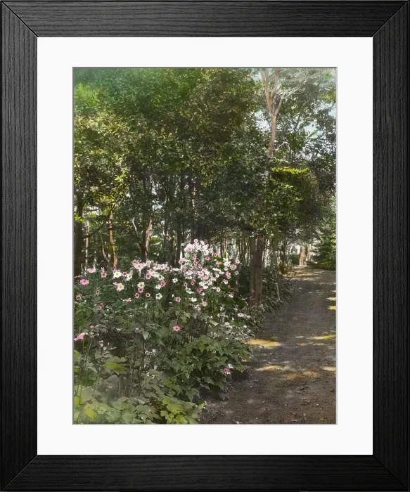 Framed Print : The Reef, Theodore Montgomery Davis house, Ocean Avenue at Brenton Point, Newport, Rhode... 1914. Creator: Frances Benjamin Johnston. The Reef, Theodore Montgomery Davis house, Ocean Avenue at Brenton Point, Newport, Rhode... 1914 Framed Print : The Reef, Theodore Montgomery Davis house, Ocean Avenue at Brenton Point, Newport, Rhode... 1914. Creator: Frances Benjamin Johnston. The Reef, Theodore Montgomery Davis house, Ocean Avenue at Brenton Point, Newport, Rhode... 1914
