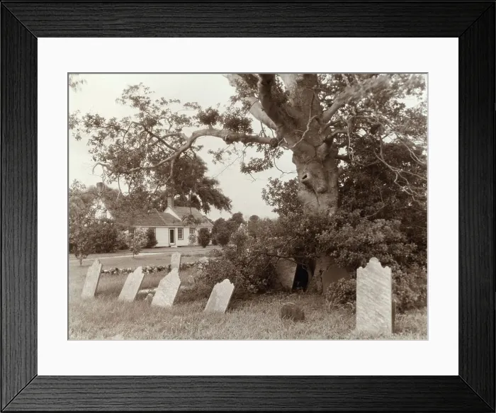 Framed Print : Warwick, Quinby vicinity, Accomac County, Virginia, between c1930 and 1939. Creator: Frances Benjamin Johnston Framed Print : Warwick, Quinby vicinity, Accomac County, Virginia, between c1930 and 1939. Creator: Frances Benjamin Johnston