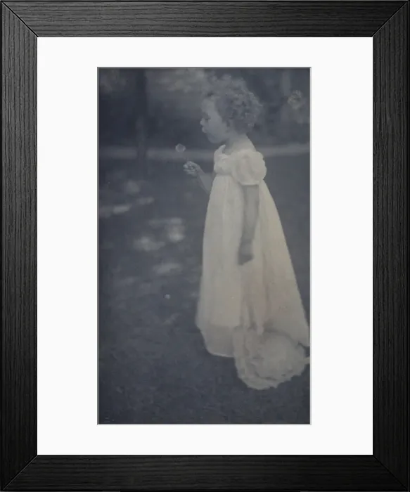 Framed Print : Dandelions, c1900. Creator: Ema Spencer Framed Print : Dandelions, c1900. Creator: Ema Spencer