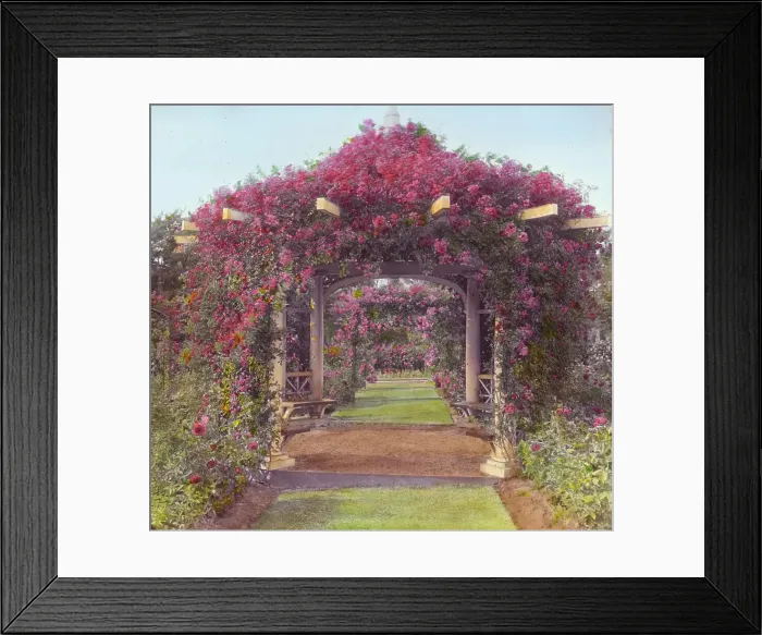 Framed Print : Lyndhurst, Finley Johnson Shepard house, 635 South Broadway, Tarrytown, New York, c1914. Creator: Frances Benjamin Johnston. Lyndhurst, Finley Johnson Shepard house, 635 South Broadway, Tarrytown, New York, c1914 Framed Print : Lyndhurst, Finley Johnson Shepard house, 635 South Broadway, Tarrytown, New York, c1914. Creator: Frances Benjamin Johnston. Lyndhurst, Finley Johnson Shepard house, 635 South Broadway, Tarrytown, New York, c1914