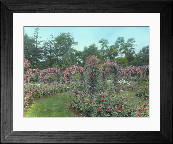 Framed Print : Lyndhurst, Finley Johnson Shepard house, 635 South Broadway, Tarrytown, New York, c1914. Creator: Frances Benjamin Johnston. Lyndhurst, Finley Johnson Shepard house, 635 South Broadway, Tarrytown, New York, c1914 Framed Print : Lyndhurst, Finley Johnson Shepard house, 635 South Broadway, Tarrytown, New York, c1914. Creator: Frances Benjamin Johnston. Lyndhurst, Finley Johnson Shepard house, 635 South Broadway, Tarrytown, New York, c1914