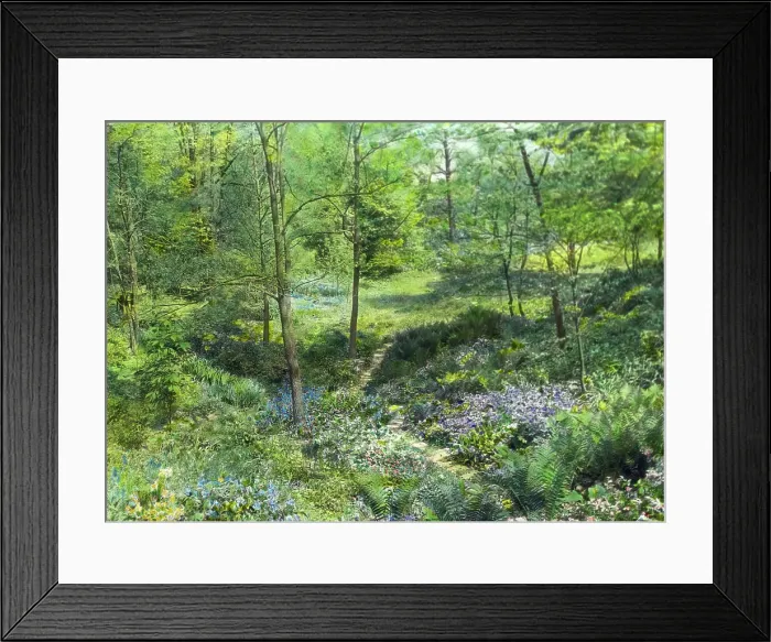 Framed Print : Unidentified garden, c1920. Creator: Frances Benjamin Johnston Framed Print : Unidentified garden, c1920. Creator: Frances Benjamin Johnston