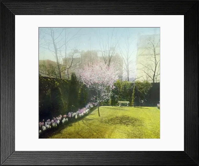 Framed Print : General William Crozier house, 1735 Massachusetts Ave. NW, Washington, D.C. (1915?). Creator: Frances Benjamin Johnston Framed Print : General William Crozier house, 1735 Massachusetts Ave. NW, Washington, D.C. (1915?). Creator: Frances Benjamin Johnston