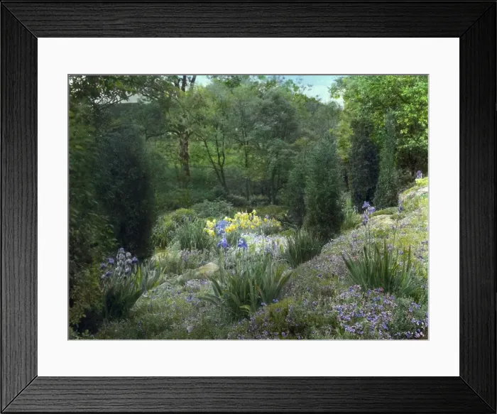 Framed Print : Graham Nichols house, Greenwich, Connecticut, c1917 or 1918. Creator: Frances Benjamin Johnston Framed Print : Graham Nichols house, Greenwich, Connecticut, c1917 or 1918. Creator: Frances Benjamin Johnston