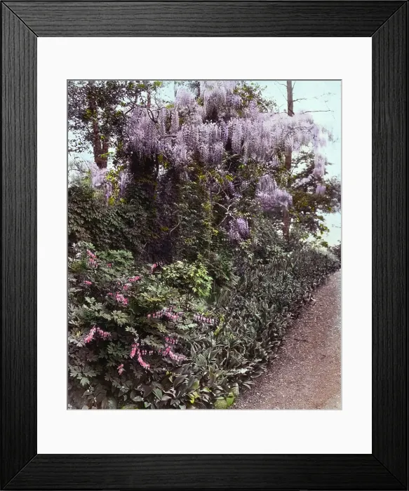Framed Print : Willowmere, Rear Admiral Aaron Ward house, 435 Bryant Avenue, Roslyn Harbor, New York, c1914. Creator: Frances Benjamin Johnston. Willowmere, Rear Admiral Aaron Ward house, 435 Bryant Avenue, Roslyn Harbor, New York, c1914 Framed Print : Willowmere, Rear Admiral Aaron Ward house, 435 Bryant Avenue, Roslyn Harbor, New York, c1914. Creator: Frances Benjamin Johnston. Willowmere, Rear Admiral Aaron Ward house, 435 Bryant Avenue, Roslyn Harbor, New York, c1914