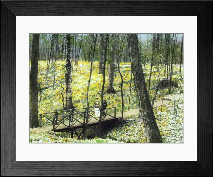 Framed Print : Lob's Wood, Carl H. Krippendorf house, 4949 Tealtown Road, Perintown (Milford), Ohio, c1920. Creator: Frances Benjamin Johnston. Lob's Wood, Carl H. Krippendorf house, 4949 Tealtown Road, Perintown (Milford), Ohio, c1920 Framed Print : Lob's Wood, Carl H. Krippendorf house, 4949 Tealtown Road, Perintown (Milford), Ohio, c1920. Creator: Frances Benjamin Johnston. Lob's Wood, Carl H. Krippendorf house, 4949 Tealtown Road, Perintown (Milford), Ohio, c1920