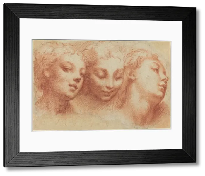 Framed Print : Three Feminine Heads, c. 1522 / 1524. Creator: Parmigianino Framed Print : Three Feminine Heads, c. 1522 / 1524. Creator: Parmigianino