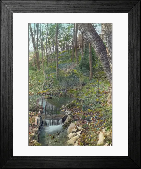 Framed Print : Unidentified garden, c1920. Creator: Frances Benjamin Johnston Framed Print : Unidentified garden, c1920. Creator: Frances Benjamin Johnston