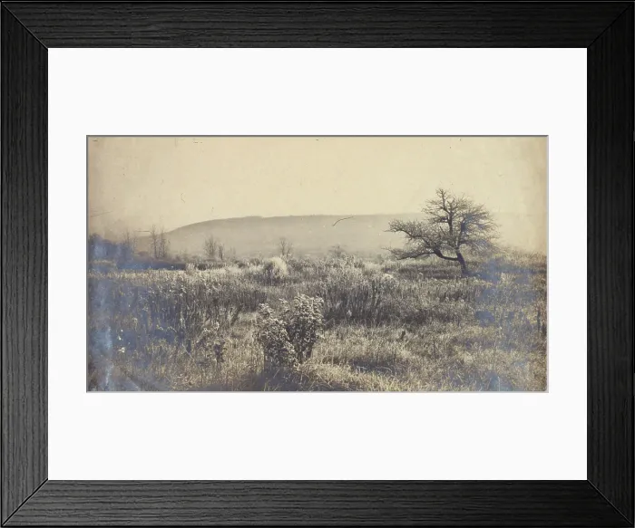 Framed Print : Landscape of a field with hill in background, c1900. Creator: Unknown Framed Print : Landscape of a field with hill in background, c1900. Creator: Unknown