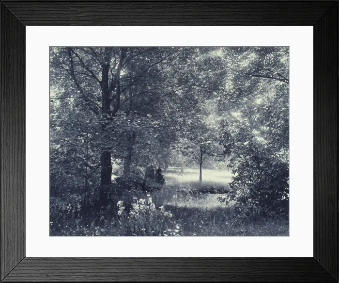 Framed Print : Landscape of trees and meadow with irises in foreground, c1900. Creator: Unknown