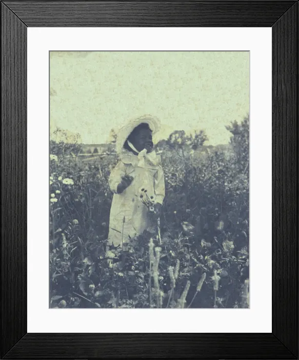 Framed Print : Young African-American(?) girl, wearing long dress and bonnet, standing in field holding... c1900. Creator: Unknown Framed Print : Young African-American(?) girl, wearing long dress and bonnet, standing in field holding... c1900. Creator: Unknown