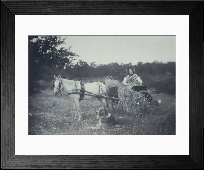 Framed Print : Boon companions, c1900. Creator: Unknown Framed Print : Boon companions, c1900. Creator: Unknown