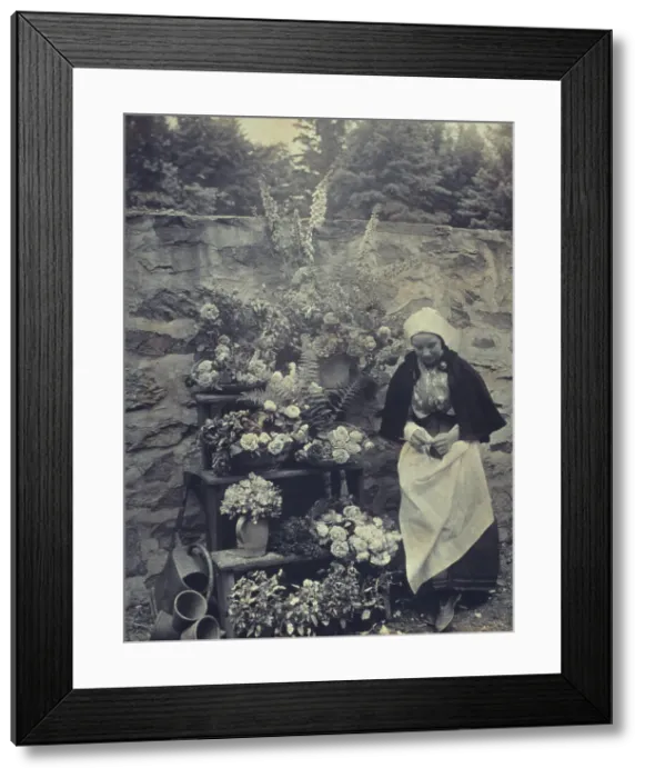Framed Print : Dutch flower seller, c1900. Creator: Unknown Framed Print : Dutch flower seller, c1900. Creator: Unknown