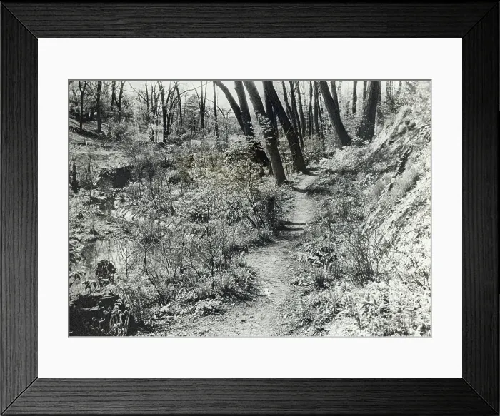 Framed Print : Unidentified garden or park, c1920. Creator: Frances Benjamin Johnston Framed Print : Unidentified garden or park, c1920. Creator: Frances Benjamin Johnston