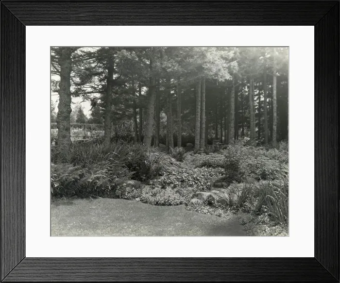 Framed Print : Thornewood, Chester Thorne house, Lakewood, Washington, 1923. Creator: Frances Benjamin Johnston. Thornewood, Chester Thorne house, Lakewood, Washington, 1923. Creator: Frances Benjamin Johnston Framed Print : Thornewood, Chester Thorne house, Lakewood, Washington, 1923. Creator: Frances Benjamin Johnston. Thornewood, Chester Thorne house, Lakewood, Washington, 1923. Creator: Frances Benjamin Johnston