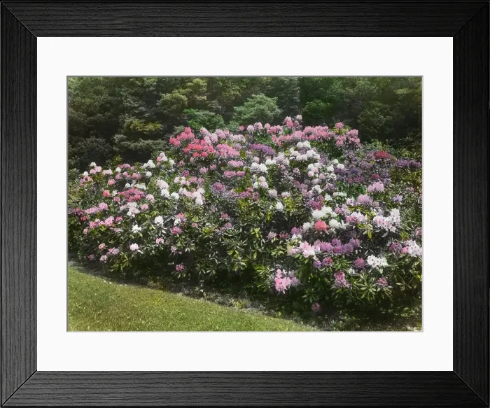 Framed Print : George Fisher Baker house, Tuxedo Park, New York, c1913. Creator: Frances Benjamin Johnston Framed Print : George Fisher Baker house, Tuxedo Park, New York, c1913. Creator: Frances Benjamin Johnston