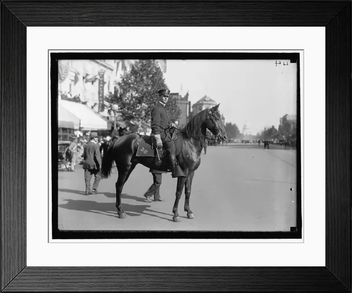 Framed Print : Parade On Pennsylvania Ave, between 1910 and 1921. Creator: Harris & Ewing. Parade On Pennsylvania Ave, between 1910 and 1921. Creator: Harris & Ewing Framed Print : Parade On Pennsylvania Ave, between 1910 and 1921. Creator: Harris & Ewing. Parade On Pennsylvania Ave, between 1910 and 1921. Creator: Harris & Ewing