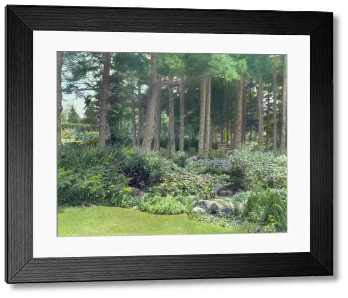 Framed Print : Thornewood, Chester Thorne house, Lakewood, Wa. 1923. Creator: Frances Benjamin Johnston. Thornewood, Chester Thorne house, Lakewood, Wa. 1923. Creator: Frances Benjamin Johnston Framed Print : Thornewood, Chester Thorne house, Lakewood, Wa. 1923. Creator: Frances Benjamin Johnston. Thornewood, Chester Thorne house, Lakewood, Wa. 1923. Creator: Frances Benjamin Johnston