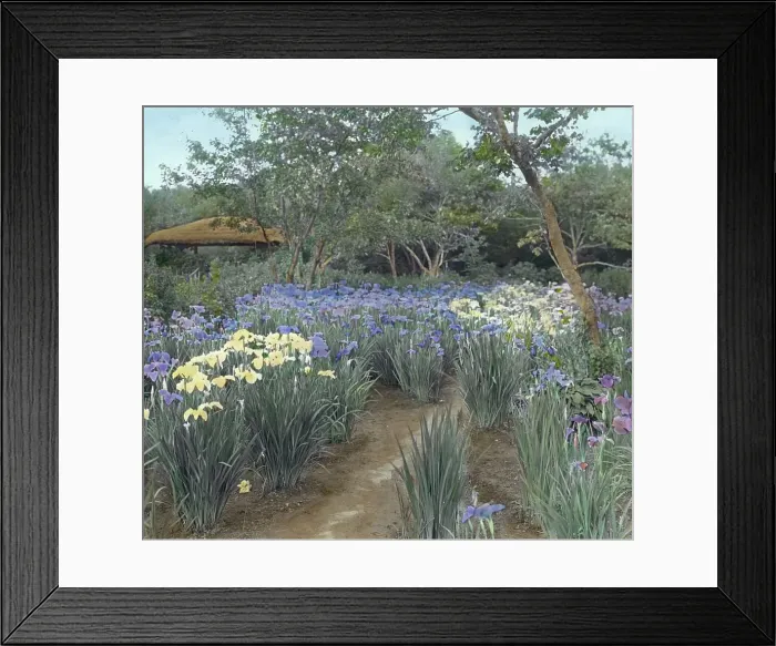 Framed Print : Grey-Croft, Stephen Swete Cummins house, Huntting Lane, East Hampton, New York, 1913. Creator: Frances Benjamin Johnston. Grey-Croft, Stephen Swete Cummins house, Huntting Lane, East Hampton, New York, 1913 Framed Print : Grey-Croft, Stephen Swete Cummins house, Huntting Lane, East Hampton, New York, 1913. Creator: Frances Benjamin Johnston. Grey-Croft, Stephen Swete Cummins house, Huntting Lane, East Hampton, New York, 1913