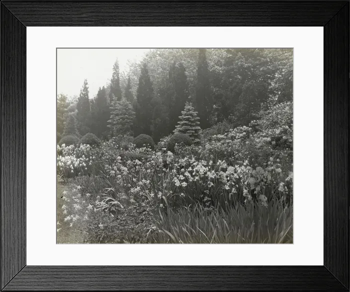 Framed Print : Killenworth, George Dupont Pratt house, Glen Cove, New York, c1918. Creator: Frances Benjamin Johnston. Killenworth, George Dupont Pratt house, Glen Cove, New York, c1918. Creator: Frances Benjamin Johnston Framed Print : Killenworth, George Dupont Pratt house, Glen Cove, New York, c1918. Creator: Frances Benjamin Johnston. Killenworth, George Dupont Pratt house, Glen Cove, New York, c1918. Creator: Frances Benjamin Johnston