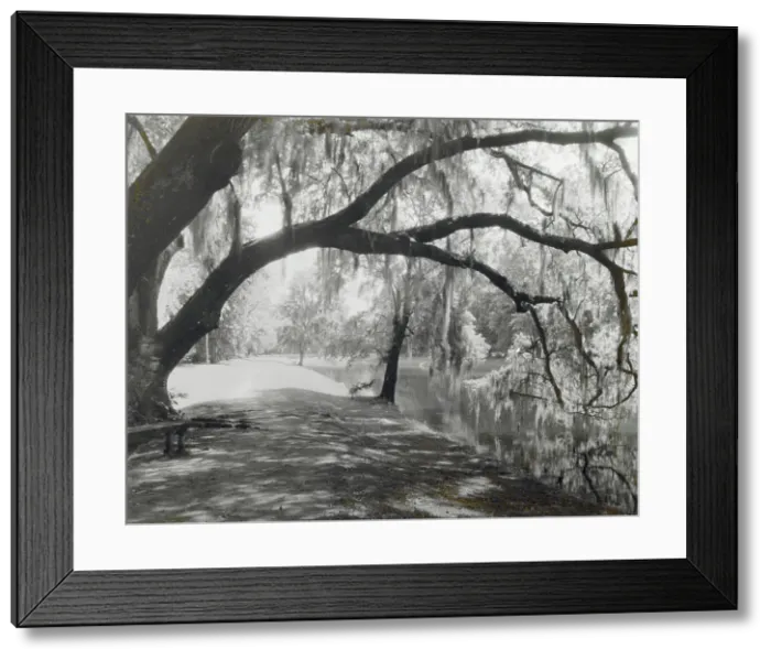 Framed Print : Middleton Place, John Julius Pringle Smith house, 4300 Ashley River Road, Charleston, 1928. Creator: Frances Benjamin Johnston. Middleton Place, John Julius Pringle Smith house, 4300 Ashley River Road, Charleston, 1928 Framed Print : Middleton Place, John Julius Pringle Smith house, 4300 Ashley River Road, Charleston, 1928. Creator: Frances Benjamin Johnston. Middleton Place, John Julius Pringle Smith house, 4300 Ashley River Road, Charleston, 1928